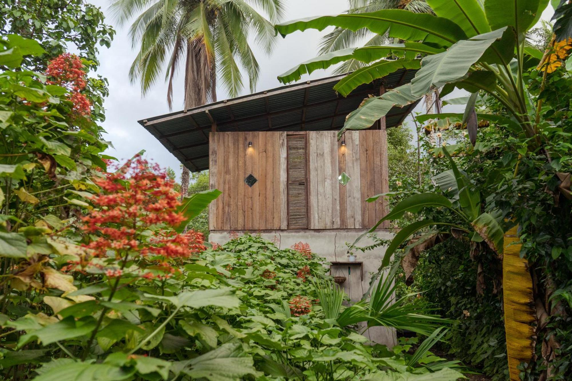 Ecohotel Luzul Nuquí Exterior foto